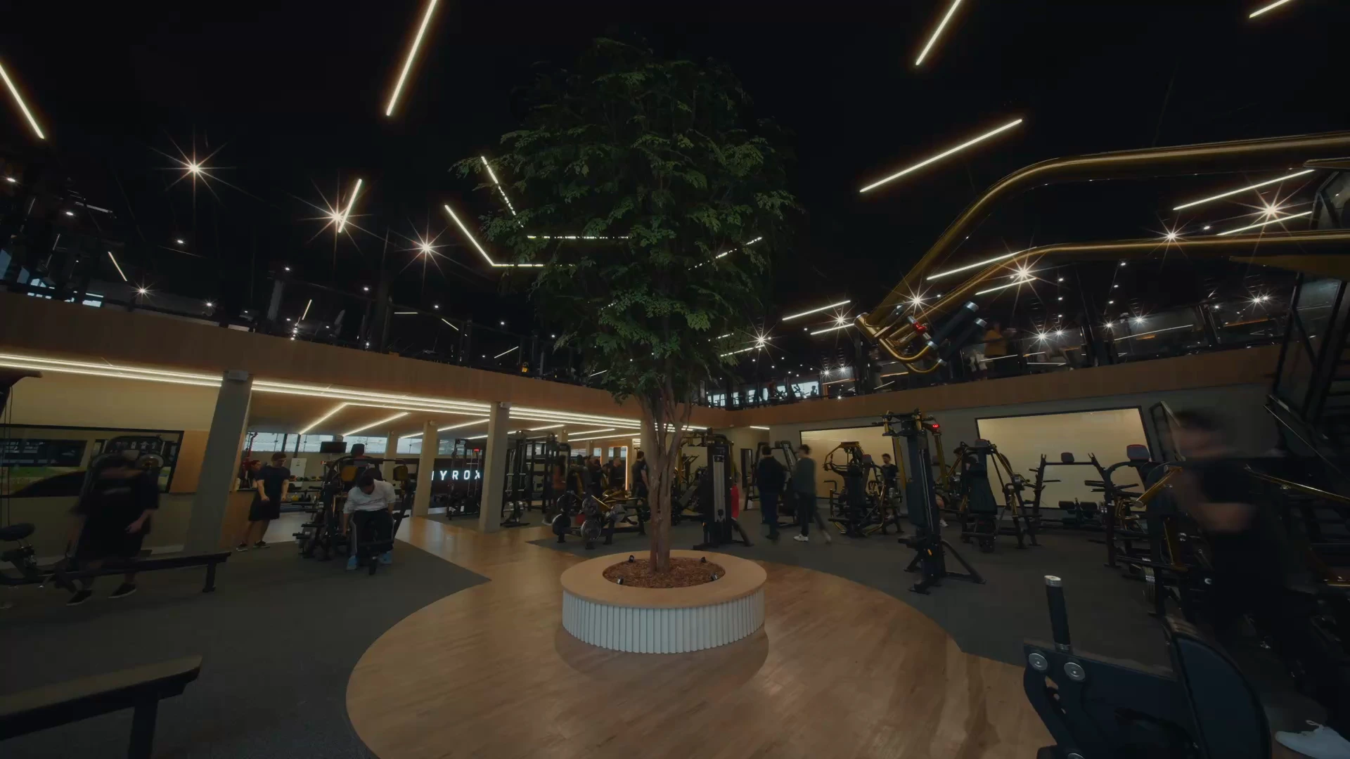 Interior da Templo Fitness com árvore central, equipamentos e iluminação do salão